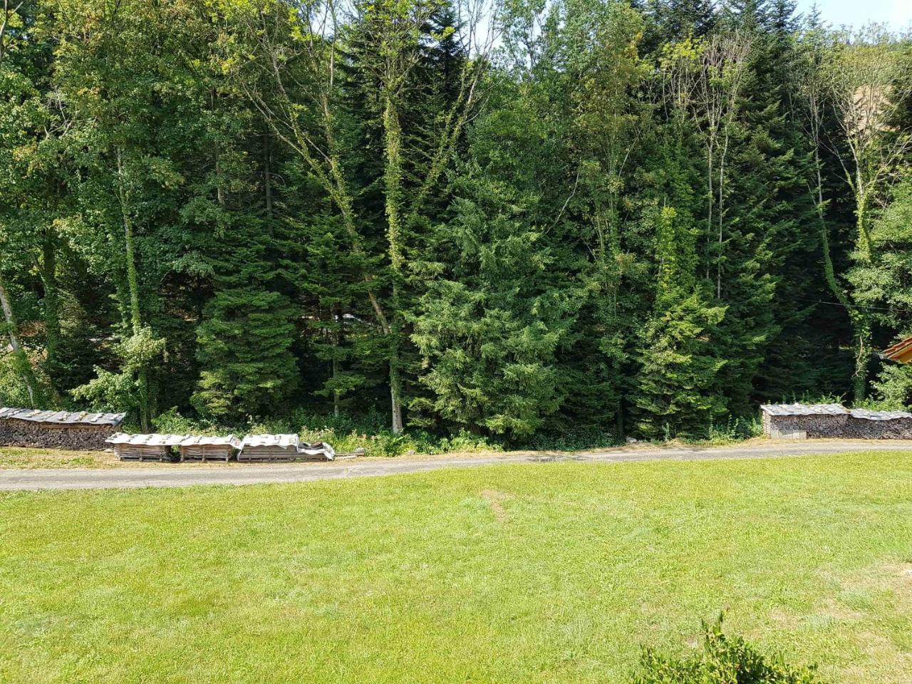 Spinnertonihof Bad Peterstal-Griesbach Eksteriør bilde